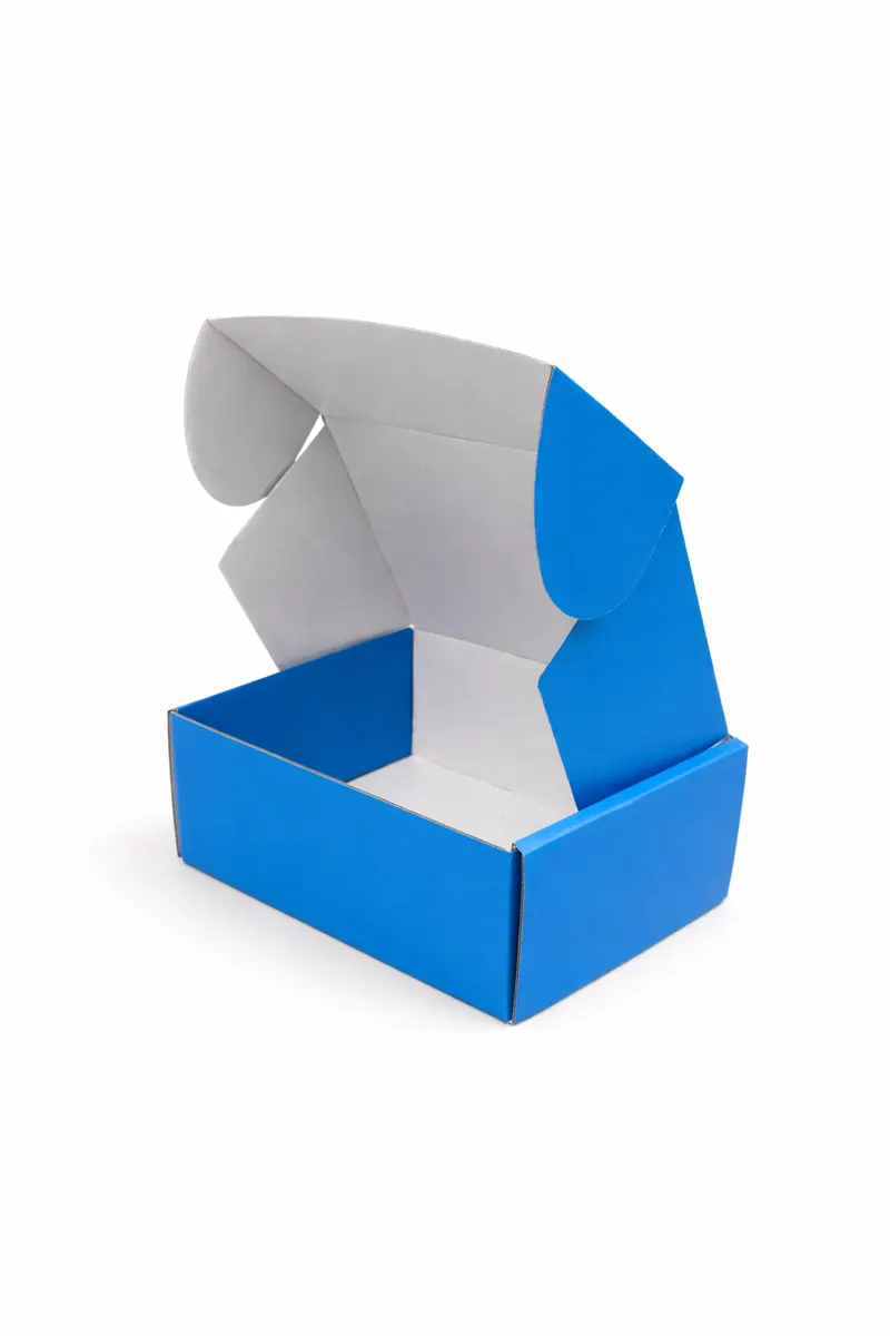 Arctic Sky Blue Colour Mailer Box — PackWorks